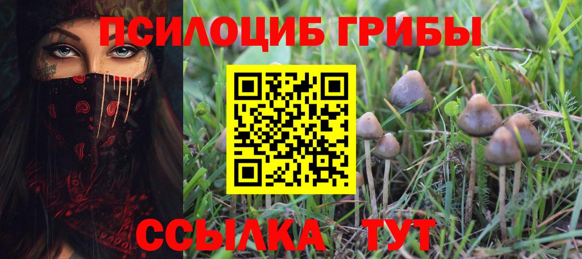Псилоцибиновые грибы мицелий  Вход с VPN  цены наркотик  Кудымкар 